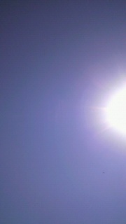 ������ȂƂ��́B