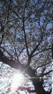 �ׂ�ׂ���B