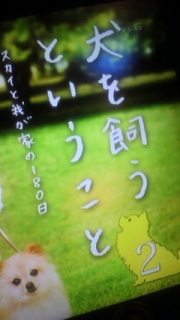 �p�p�Q�b
