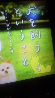 �p�p�S�b
