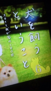 �p�p6�b