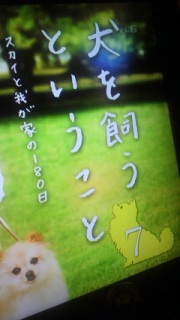 �p�p7�b