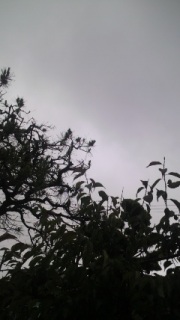 ���߁B