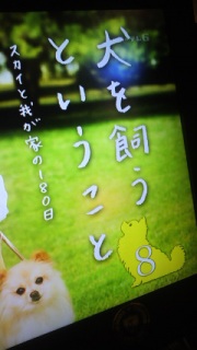 �p�p8�b
