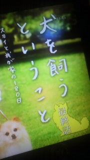 �p�p�ŏI�b
