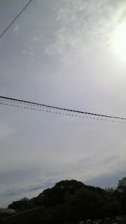 �ւ�̂��������P�B