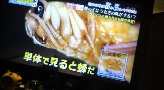 �����B�B�B