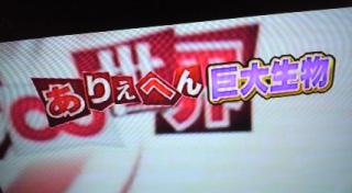 ���肦�ւ񐢊E�Ȃ��B