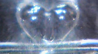 �n�[�g�^�v�`�v�`