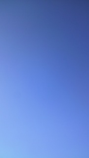 �܂��B