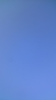 �݂͂��҂傤�B