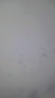 �����悤�ɁB