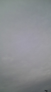 �ЂȂ܂肩��B