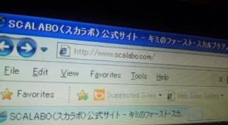 �X�J���{�����T�C�g