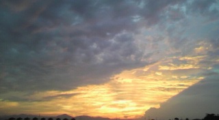 �I�����W