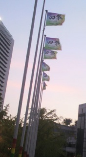 ���Ձ����낢��