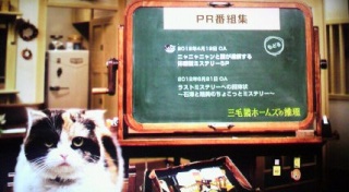 PR�ԑg�W