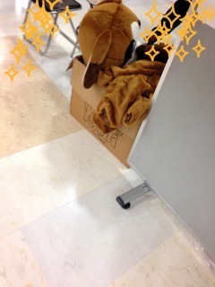 �E���̂�(�@�K�t�K)w