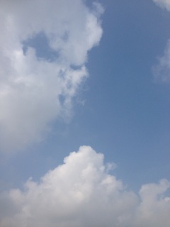 WAO!�_(^o^)�^