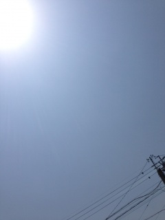 ���(�o�L�D`)~~