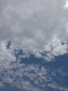 ����΂�����❤