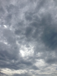 �z���}�ł���!?