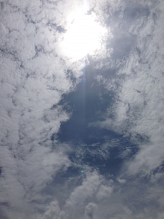 �j���[��