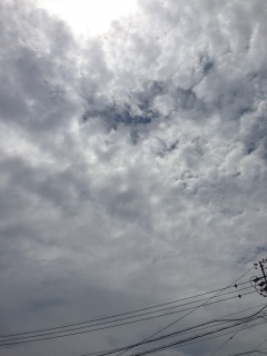 �����Ɓc❤