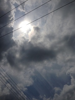 �X�b�L����!