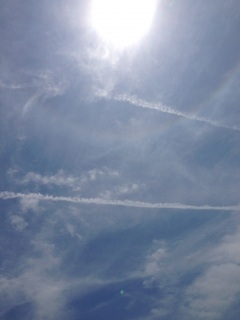 �z����(�V�L�́M)�E�B�B♡