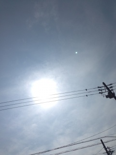 �X�e�[�W�K+�B(*���ށM)�B+�K♡