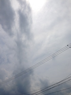 �߂��舧��