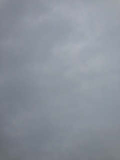 ���P�[�V����