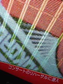 ���T��LIVE MONSTER❤(*�L�́M*)