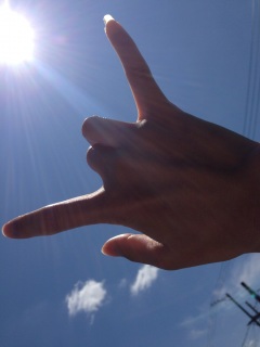 Not ������