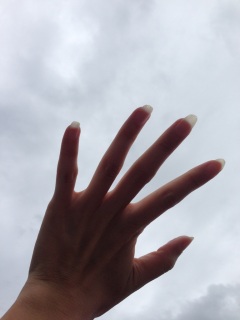 (���E�́E��)