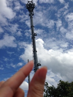 ���G�C�g�̓���