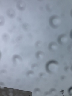 ���C�j�[�u���[�X