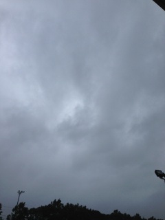 ���悢�悾�ˁI