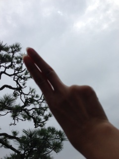 ������❤