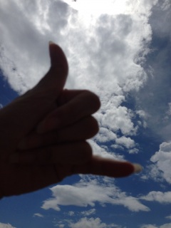 ❤(*�K�́K*)