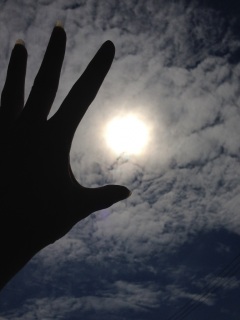 �i*�L�́M)��