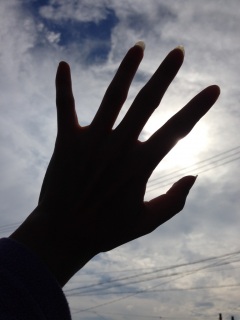 ((*�L�t�M*))�J�`♡(*�L�ށM*).*:�E'�K.