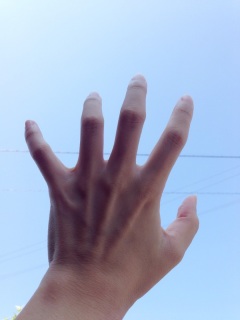 ��♥(*�M�́L*)��