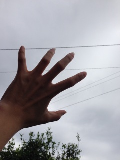 (((���L�́M)♡