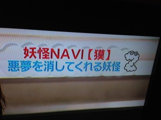 ZIP!�~�n���搶�ʁ`�ׁ` �d��NAVI��2