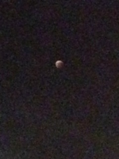 �F�����H