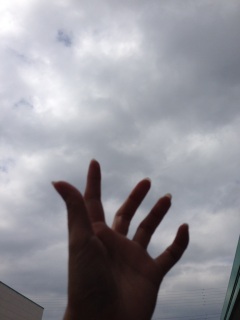 ��:*��(���L�́M��):*�߁�