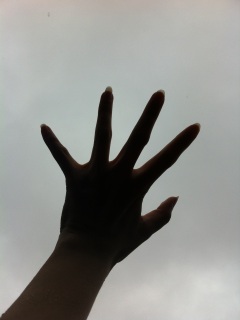 �J�i(�*'�x�M*)�jɁJ