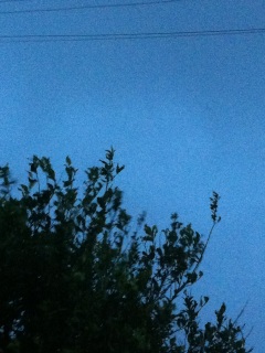 �䕗�ڋ߂����Ãj��*�K�D�K�j�[�[